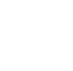 CyberGhost logo