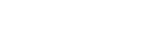 PureVPN Logo