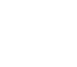 SpyOFF Logo