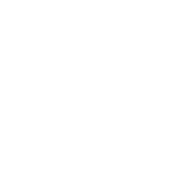 VPNSecure Logo