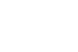 VyprVPN Logo